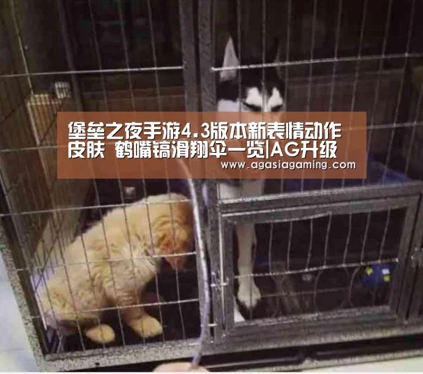 堡垒之夜手游4.3版本新表情动作皮肤 鹤嘴镐滑翔伞一览|AG升级(图1) AG电竞