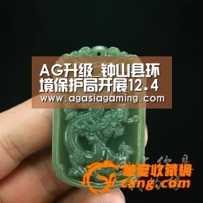 AG升级_钟山县环境保护局开展12.4国家宪法日宣传活动(图3)