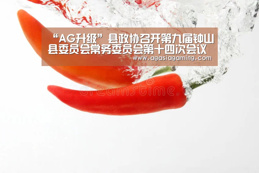 AG电子