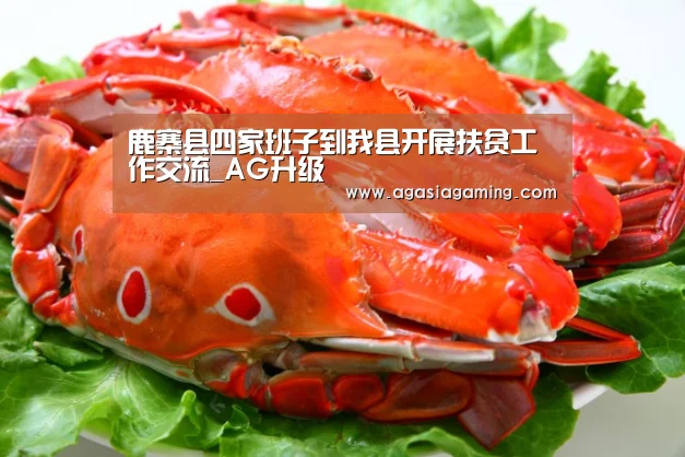 鹿寨县四家班子到我县开展扶贫工作交流_AG升级(图1) 鹿寨县四家班子到我县开展扶贫工作交流_AG升级(图1)