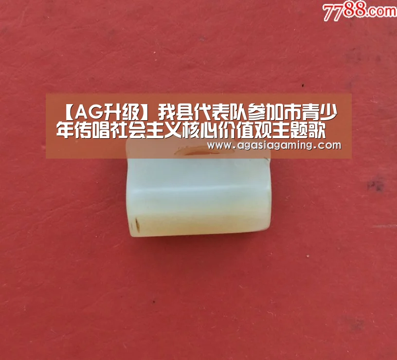 【AG升级】我县代表队参加市青少年传唱社会主义核心价值观主题歌曲汇演并获奖(图1) AG电子