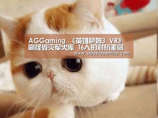 AGGaming_《英雄萨姆3 VR》刷怪毁灭军火库 16人的对抗差你不可(图3) AG电竞