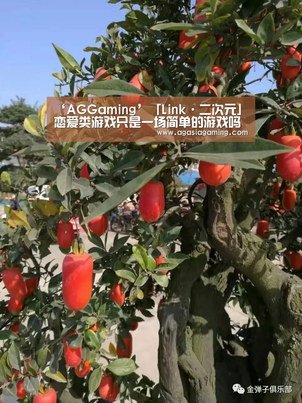 ‘AGGaming’「Link·二次元」恋爱类游戏只是一场简单的游戏吗(图3) AG升级