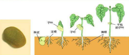 AG电子-《战地5》没有开箱和季票元素 所有玩家玩相同内容(图4) AG升级
