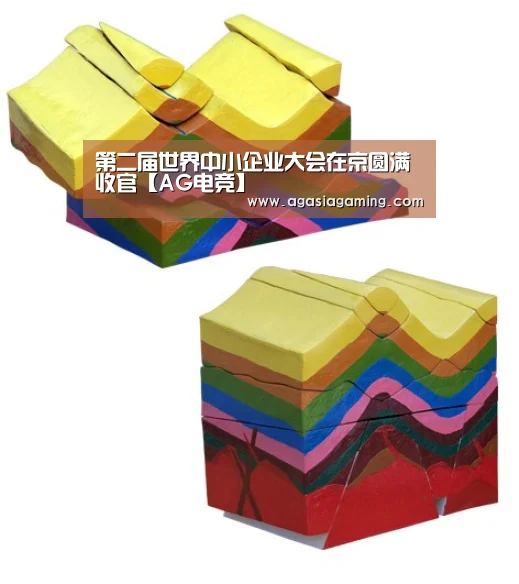 第二届世界中小企业大会在京圆满收官【AG电竞】(图3)